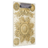 Golden Zee Creats Klembord (Rechts)