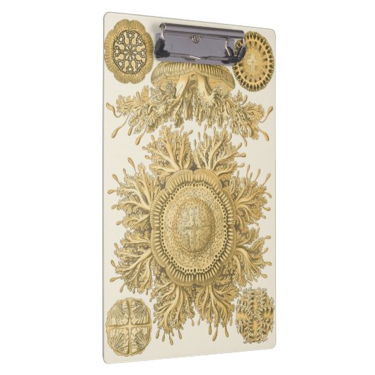 Golden Zee Creats Klembord (Rechts)