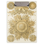 Golden Zee Creats Klembord (Voorkant)