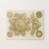 Golden Zee Creats Legpuzzel (Horizontaal)