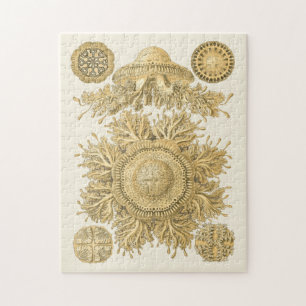 Golden Zee Creats Legpuzzel