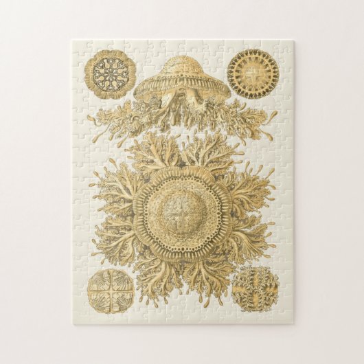 Golden Zee Creats Legpuzzel (Verticaal)