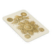 Golden Zee Creats Magneet (Rechterzijde)