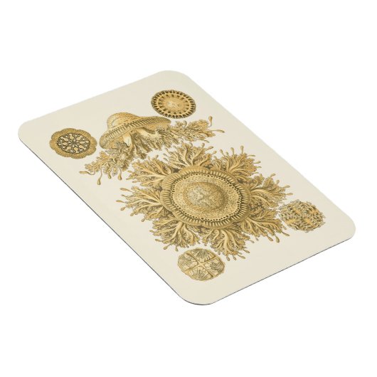 Golden Zee Creats Magneet (Rechterzijde)