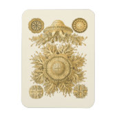 Golden Zee Creats Magneet (Verticaal)