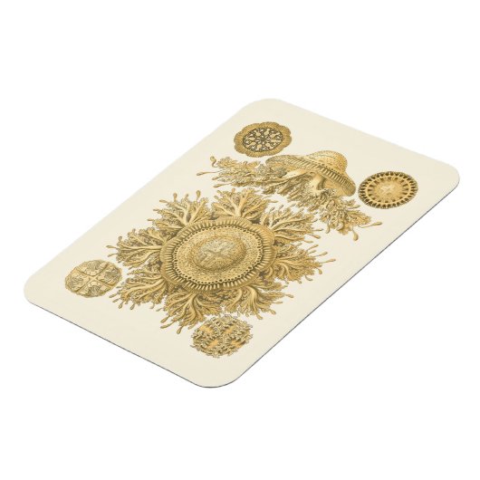 Golden Zee Creats Magneet (Linkerzijde)