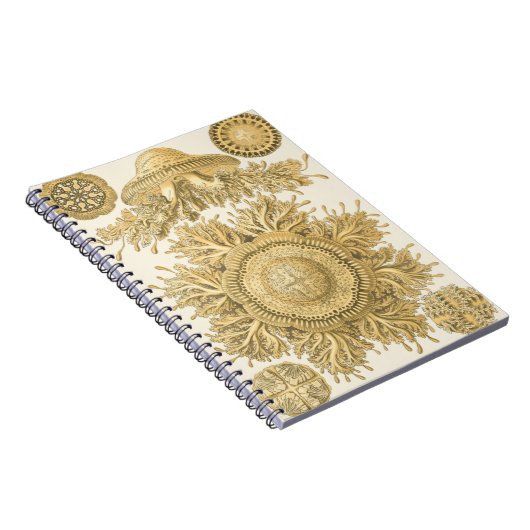 Golden Zee Creats Notitieboek (Rechterzijde)