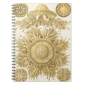 Golden Zee Creats Notitieboek (Voorkant)