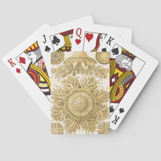 Golden Zee Creats Pokerkaarten (Achterkant)