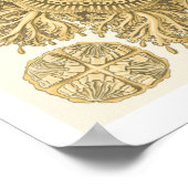 Golden Zee Creats Poster (Hoek)