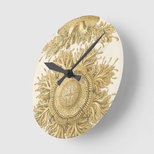 Golden Zee Creats Ronde Klok (Hoek)