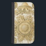 Golden Zee Creats Galaxy S4 Portefeuille Hoesje<br><div class="desc">Ernst Haeckel is een creatieve en creatieve kunstenaar. In dit hedendaagse kunstwerk legt hij het leven van het zee vast,  dat anemone in goud en twisty design belichaamt. Je hebt geen ander kunstwerk zoals dit. Haal vandaag deze innovatieve stukje oceaankunst op je producten!</div>