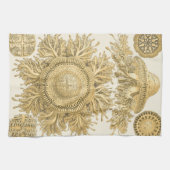 Golden Zee Creats Theedoek (Horizontaal)