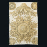 Golden Zee Creats Theedoek<br><div class="desc">Ernst Haeckel is een creatieve en creatieve kunstenaar. In dit hedendaagse kunstwerk legt hij het leven van het zee vast,  dat anemone in goud en twisty design belichaamt. Je hebt geen ander kunstwerk zoals dit. Haal vandaag deze innovatieve stukje oceaankunst op je producten!</div>