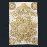 Golden Zee Creats Theedoek<br><div class="desc">Ernst Haeckel is een creatieve en creatieve kunstenaar. In dit hedendaagse kunstwerk legt hij het leven van het zee vast,  dat anemone in goud en twisty design belichaamt. Je hebt geen ander kunstwerk zoals dit. Haal vandaag deze innovatieve stukje oceaankunst op je producten!</div>