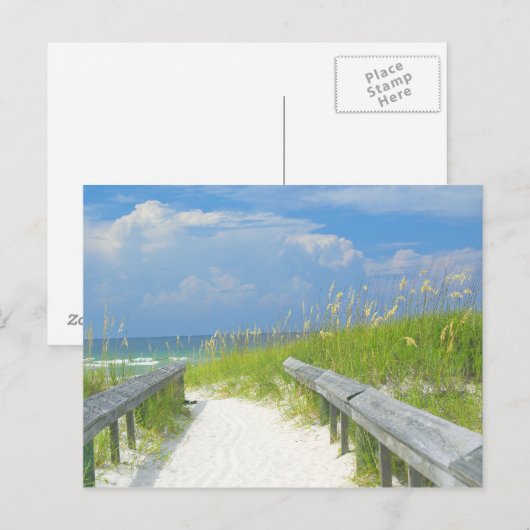 Golden Zee Oats Briefkaart (Voorkant / Achterkant)