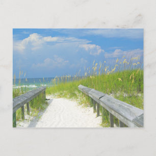 Golden Zee Oats Briefkaart