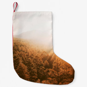 GOLDEN ZUN OVER EEN BOEST KLEINE KERSTSOK