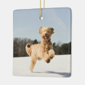 Goldendoedle die door het veld loopt keramisch ornament (Links)