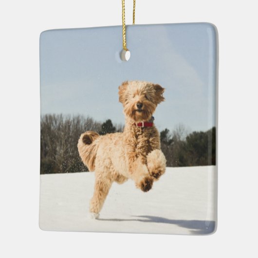 Goldendoedle die door het veld loopt keramisch ornament (Links)