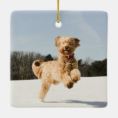 Goldendoedle die door het veld loopt keramisch ornament (Achterkant)