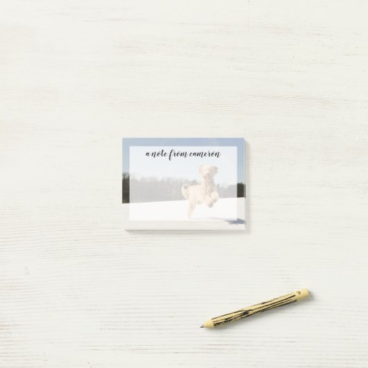 Goldendoedle die door het veld loopt post-it® notes (Op bureau)