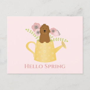 Goldendoedle in Watering Can Briefkaart