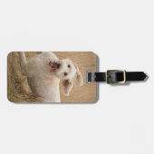 Goldendoedle loopt door Grass Bagagelabel (Voorkant horizontaal)