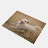 Goldendoedle loopt door Grass Deurmat (Schuin)