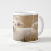 Goldendoedle loopt door Grass Grote Koffiekop (Voorkant rechts)