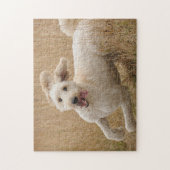 Goldendoedle loopt door Grass Legpuzzel (Verticaal)