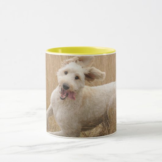Goldendoedle loopt door Grass Mok (Midden)