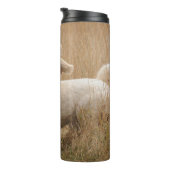 Goldendoedle loopt door Grass Thermosbeker (Geroteerd rechts)