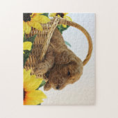 Goldendoedle Puppy 11X14 (252 stuks) Puzzel Legpuzzel (Verticaal)