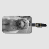 Goldendoedle Puppy in de achtertuin Bagagelabel (Voorkant (horizontaal))