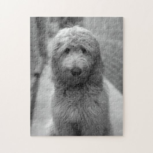 Goldendoedle Puppy in de achtertuin Legpuzzel (Verticaal)