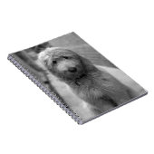 Goldendoedle Puppy in de achtertuin Notitieboek (Rechterzijde)