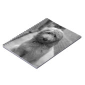 Goldendoedle Puppy in de achtertuin Notitieboek (Linkerzijde)