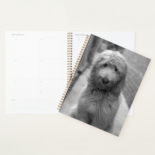 Goldendoedle Puppy in de achtertuin Planner (Display)