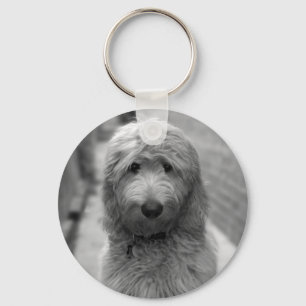 Goldendoedle Puppy in de achtertuin Sleutelhanger