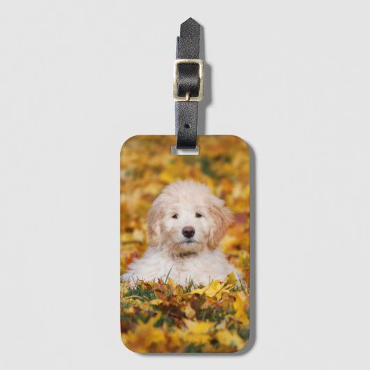 Goldendoedle Puppy in Fall Leaves Bagagelabel (Voorkant (verticaal))