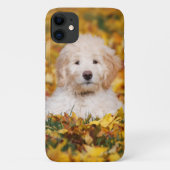 Goldendoedle Puppy in Fall Leaves Case-Mate iPhone Case (Achterkant)
