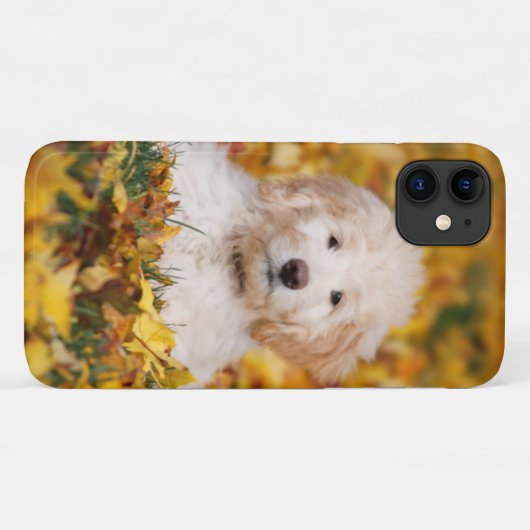 Goldendoedle Puppy in Fall Leaves Case-Mate iPhone Case (Achterkant (horizontaal))