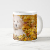 Goldendoedle Puppy in Fall Leaves Grote Koffiekop (Voorkant rechts)