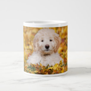 Goldendoedle Puppy in Fall Leaves Grote Koffiekop