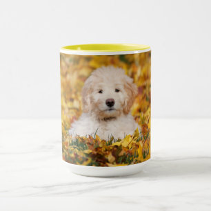 Goldendoedle Puppy in Fall Leaves Mok