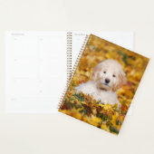 Goldendoedle Puppy in Fall Leaves Planner (Display)