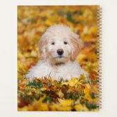 Goldendoedle Puppy in Fall Leaves Planner (Achterkant)