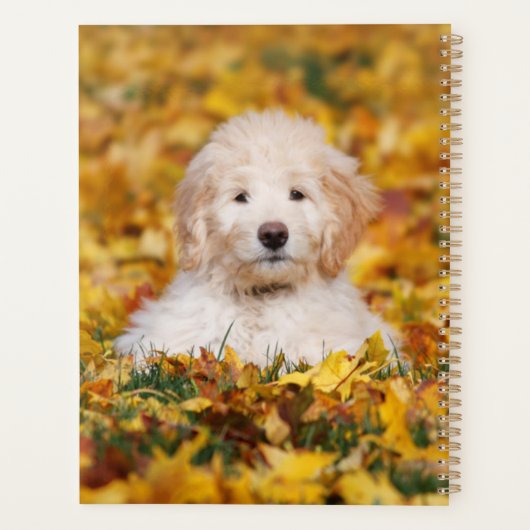 Goldendoedle Puppy in Fall Leaves Planner (Achterkant)