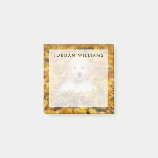 Goldendoedle Puppy in Fall Leaves Post-it® Notes (Voorkant)